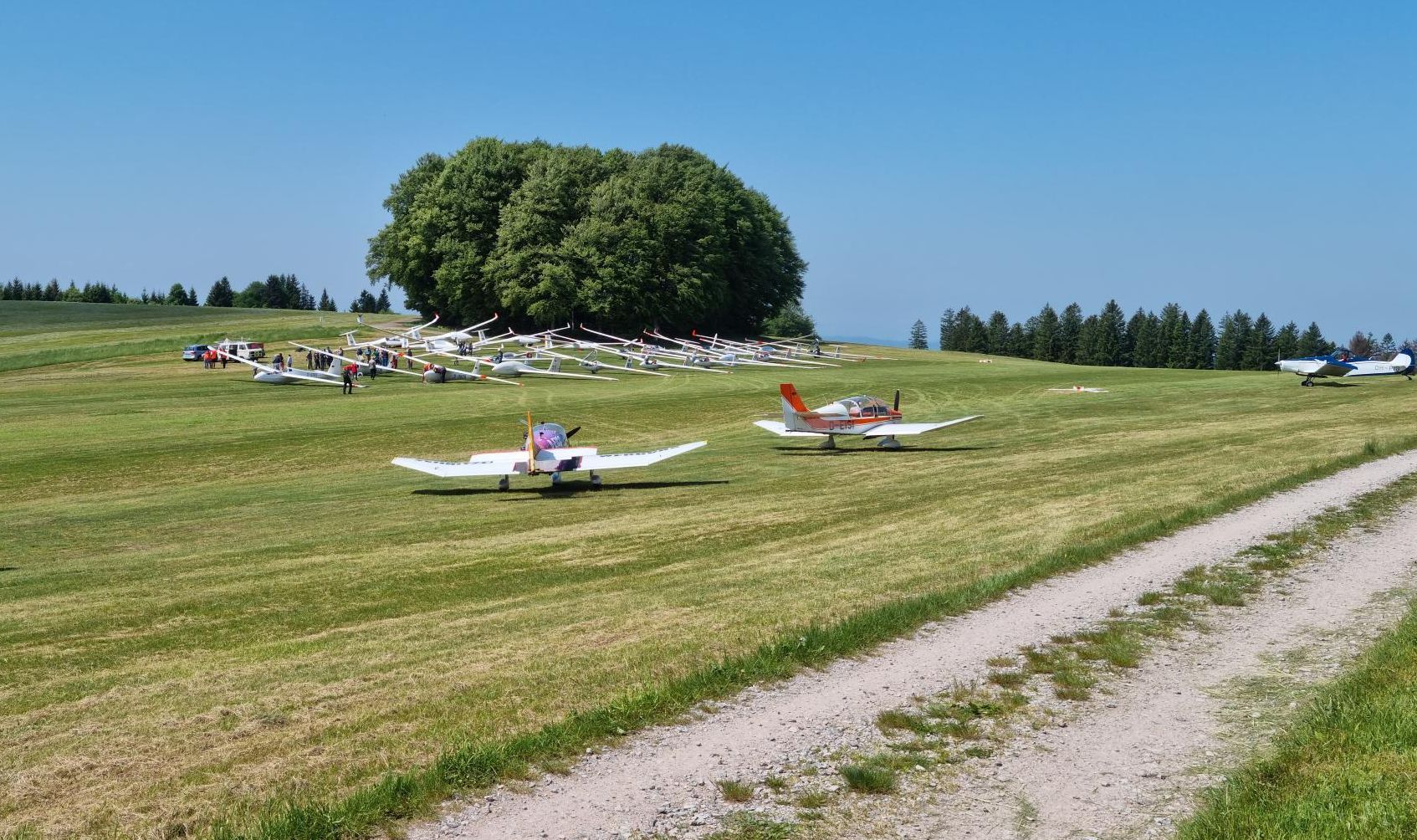 Ca. 40 Segelflugzeuge stehen startbereit aufgebaut auf einer Graspiste. Mehrere Motormaschinen sind abgestellt.