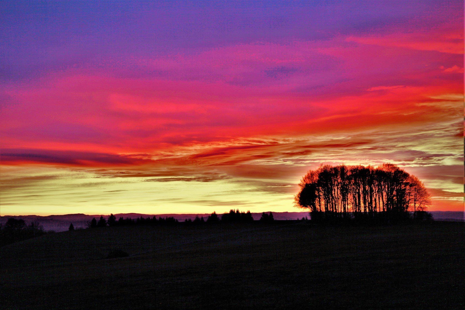 Ein leuchtend roter und violetter Sonnenuntergangshimmel über einer Baumgruppe auf dem Hotzenwald
