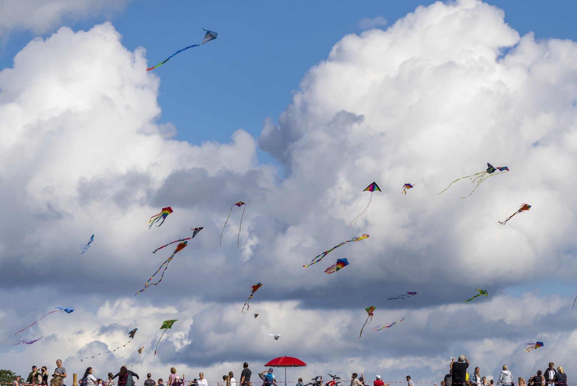 Bunte Drachen am Himmel beim Drachenfest der LGH