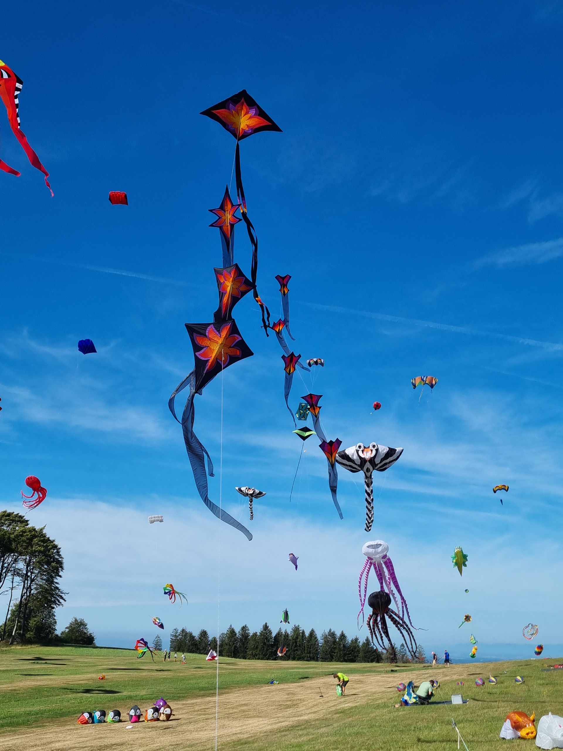 Der Flugplatz Hütten/Hotzenwald bei einem Drachenfest. Im Hintergrund die Halle und die Fliegerklause, im Vordergrund viele Leute und bunte Drachen vor blauem Himmel.