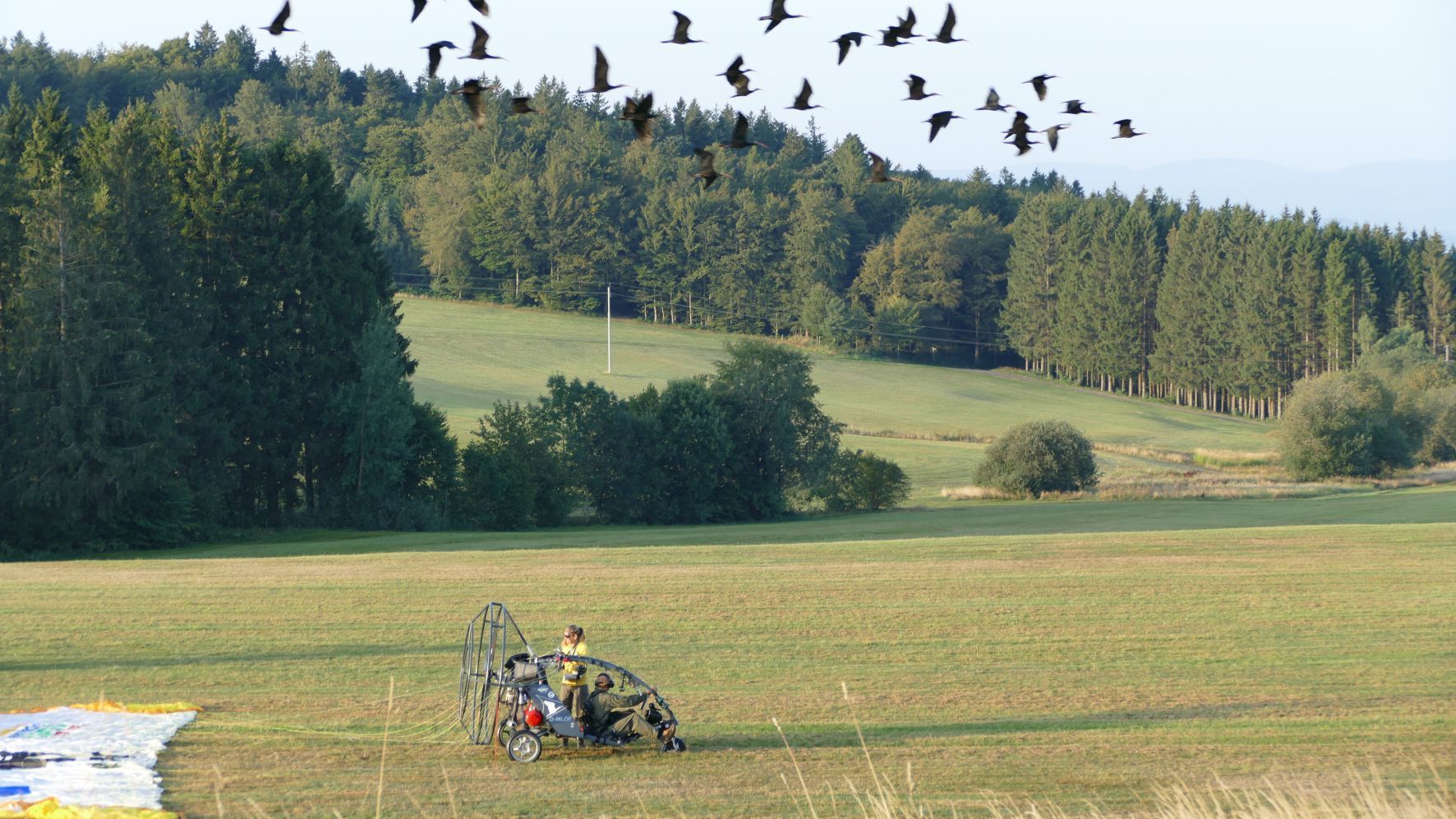 Ein Schwarm schwarzer Vögel in der Luft, darunter ein Motorschirm am Boden, neben dem eine gelb gekleidete Person steht.