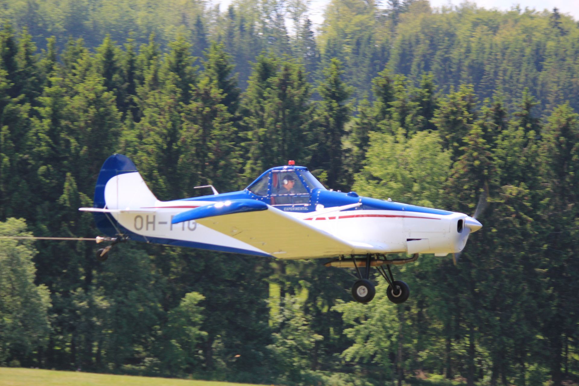 Ein Motorflugzeug, eine Piper Pawnee, oben blau, unten weiß, kurz nach dem Abheben. Im Hintergrund Wald.