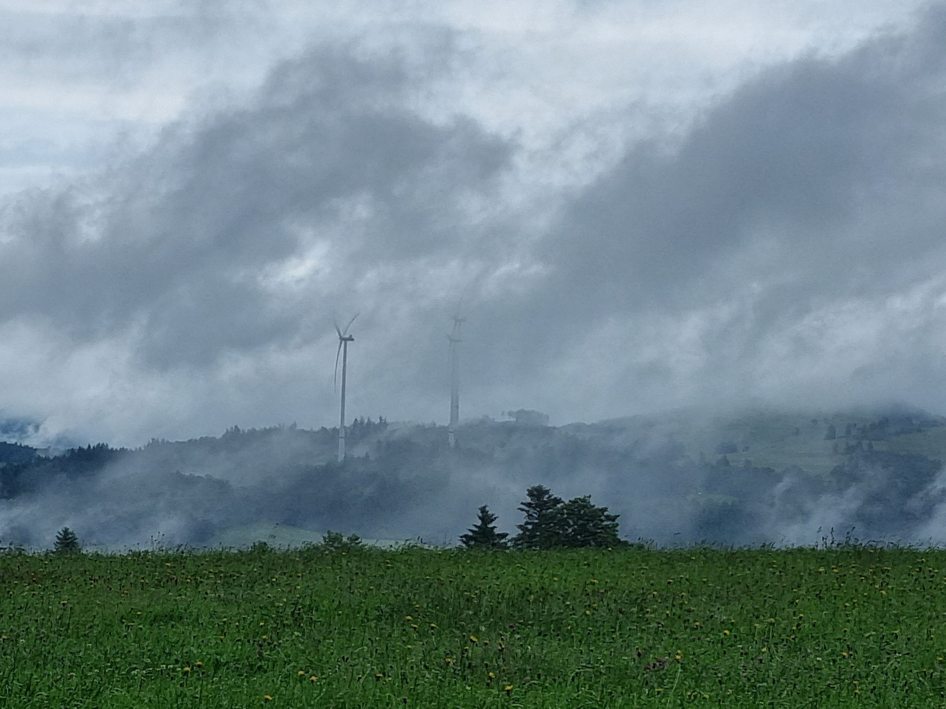 Windenergieanlagen, die zum Teil von grauen Wolken verdeckt sind.