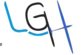 Logo Luftsportgemeinschaft Hotzenwald